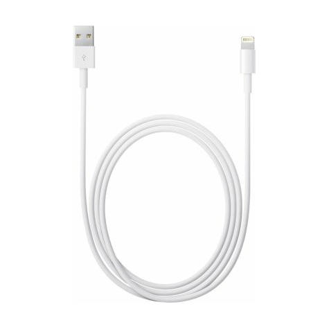 apple lightning-naar-usb-kabel (2,0 m) bulk -