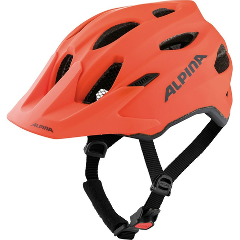 Alpina Carapax Jr Bicycle Helmet