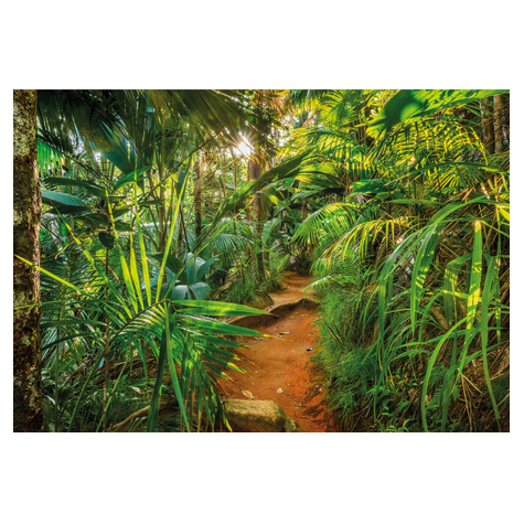 Fotobehang - Jungle Trail - Formaat 368 X 254 Cm