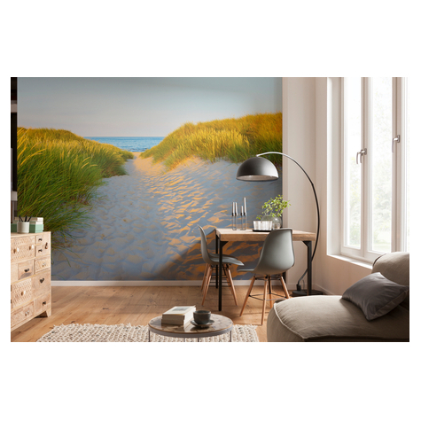 Photomurals  Photo Wallpaper - Sandy Path - Size 368 X 254 Cm
