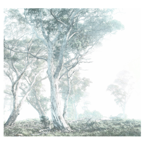 Fleece Fotobehang - Magic Trees - Formaat 300 X 280 Cm