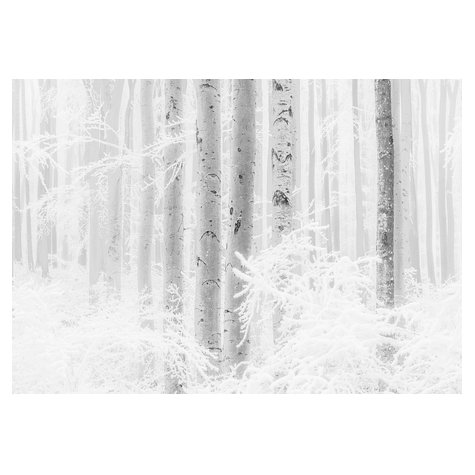 Fleece Fotobehang - Winter Wood - Afmeting 400 X 280 Cm
