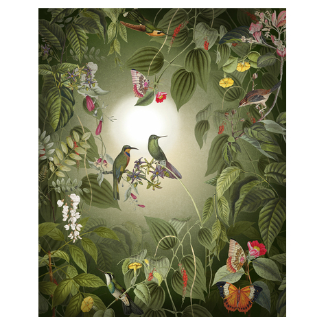 Non-Woven Wallpaper - Wildlife Birds - Size 200 X 250 Cm