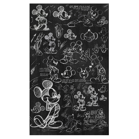 Fleece Fotobehang - Mickey Chalkboard - Afmeting 120 X 200 Cm