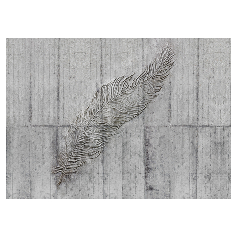 Fleece Fotobehang - Concrete Feather - Afmeting 350 X 250 Cm