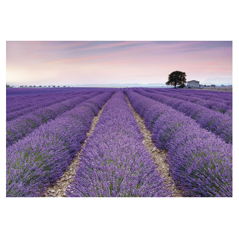 Fleece Fotobehang - Provence - Afmeting 400 X 260 Cm