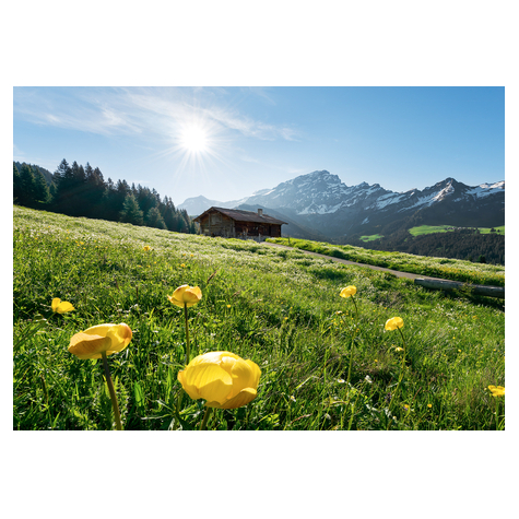 Fleece Fotobehang - Alpine Happiness - Formaat 400 X 280 Cm