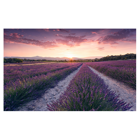Fleece Fotobehang - Lavender Dream - Afmeting 450 X 280 Cm