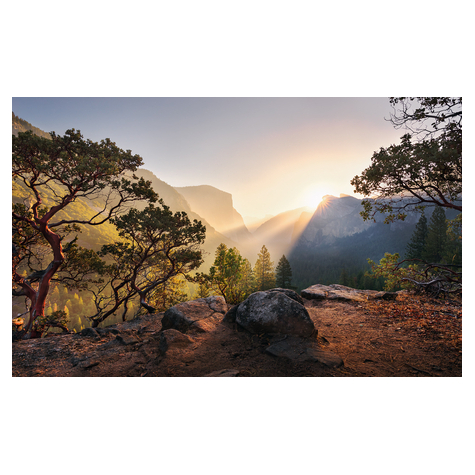 Fotobehang - Yosemites Secret - Afmeting 450 X 280 Cm