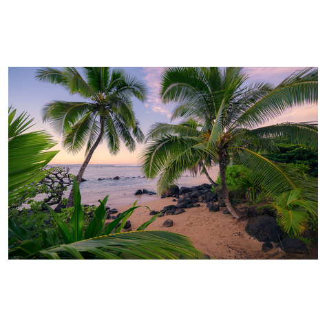 Fleece Fotobehang - Hawaiian Dreams - Afmeting 450 X 280 Cm