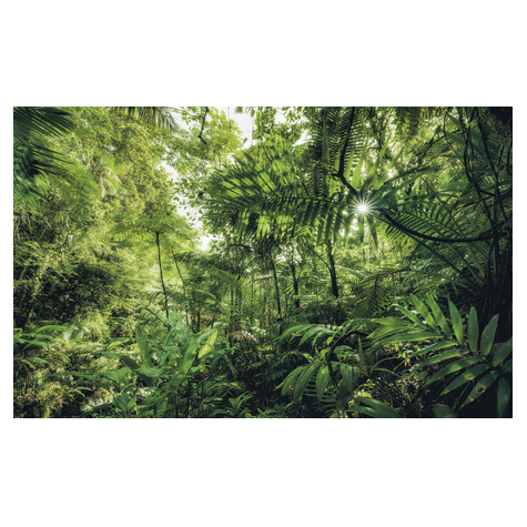 Fotobehang - Into The Jungle - Formaat 400 X 250 Cm