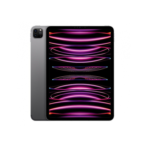 Apple Ipad Pro 128 Gb 11 Wi-Fi Space Gray 4e Generatie Mnxd3fd/A