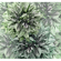 Fleece Fotobehang - Emerald Flowers - Afmeting 300 X 280 Cm