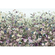Fleece Fotobehang - Botanica - Afmeting 368 X 248 Cm