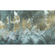 Fleece Fotobehang - Misty Jungle - Formaat 400 X 250 Cm