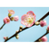 Fleece Fotobehang - Peach Blossom - Formaat 350 X 250 Cm