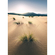 Fleece Fotobehang - Vivid Dunes - Afmeting 200 X 280 Cm