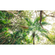 Fleece Fotobehang - Touch The Jungle - Afmeting 450 X 280 Cm
