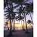 Fotobehang - Palmbomen Op Strand - Afmeting 200 X 250 Cm