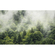 Fleece Fotobehang - Forest Land - Afmeting 400 X 250 Cm